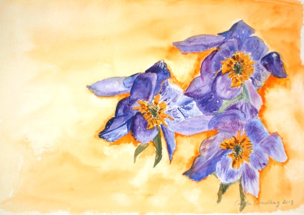 Blå Blommor