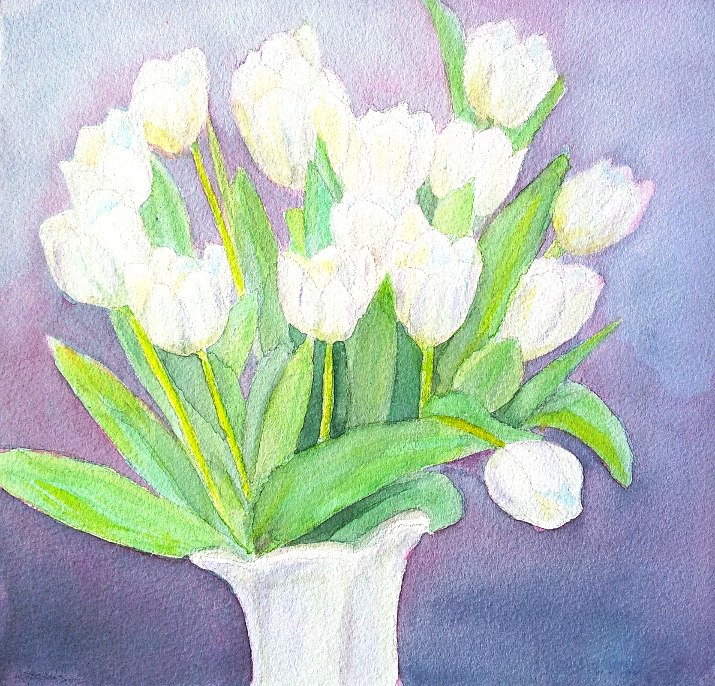Tulipanes Blanco