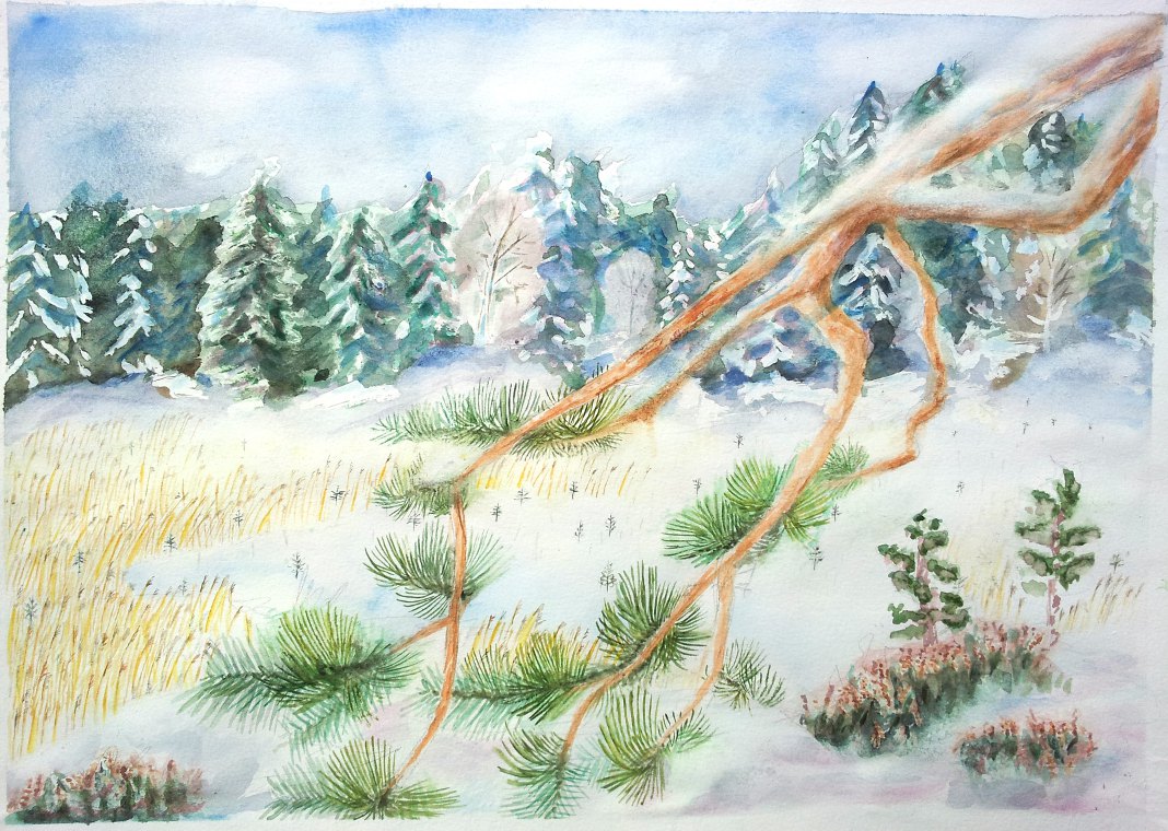 Invierno de Knut
