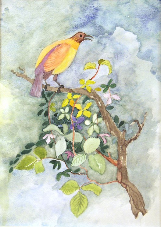 Yellow Bird-of-paradise