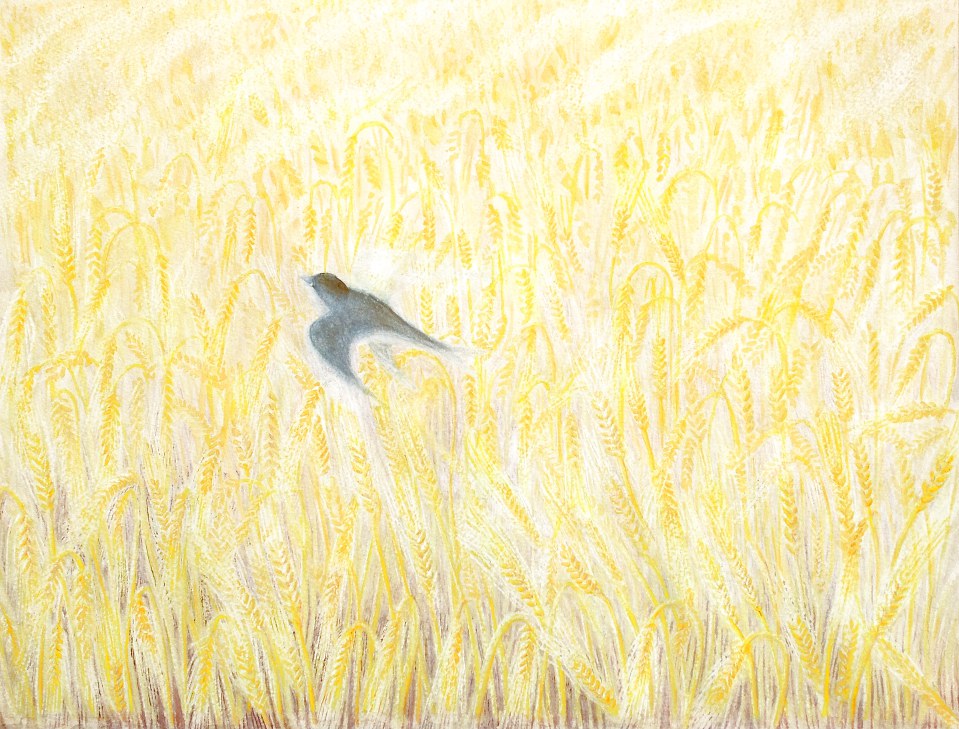 Libertad del Campo de trigo